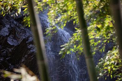 《飙酷车神2》将开启免费周末试玩 截止到21日