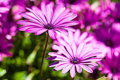 《拳皇15》新参战角色库克里宣传片 操控砂尘神秘男